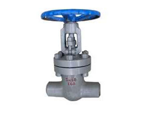 �����l�y